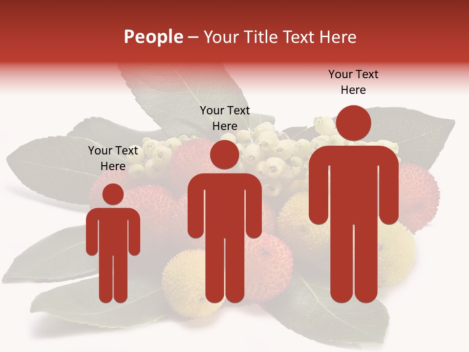 Forest Fruits Isolated Fresh PowerPoint Template