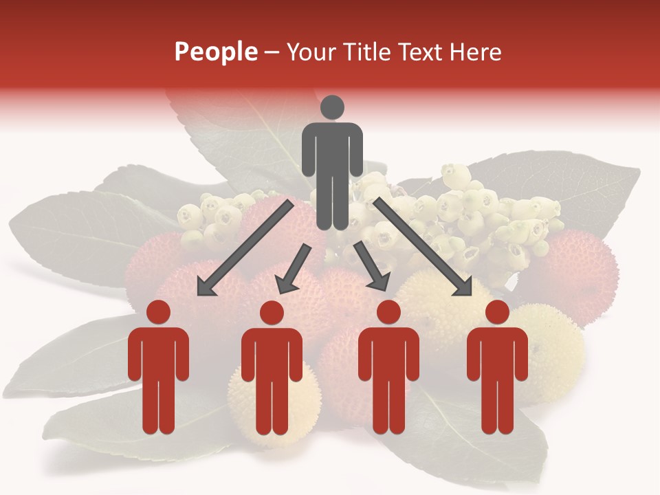 Forest Fruits Isolated Fresh PowerPoint Template