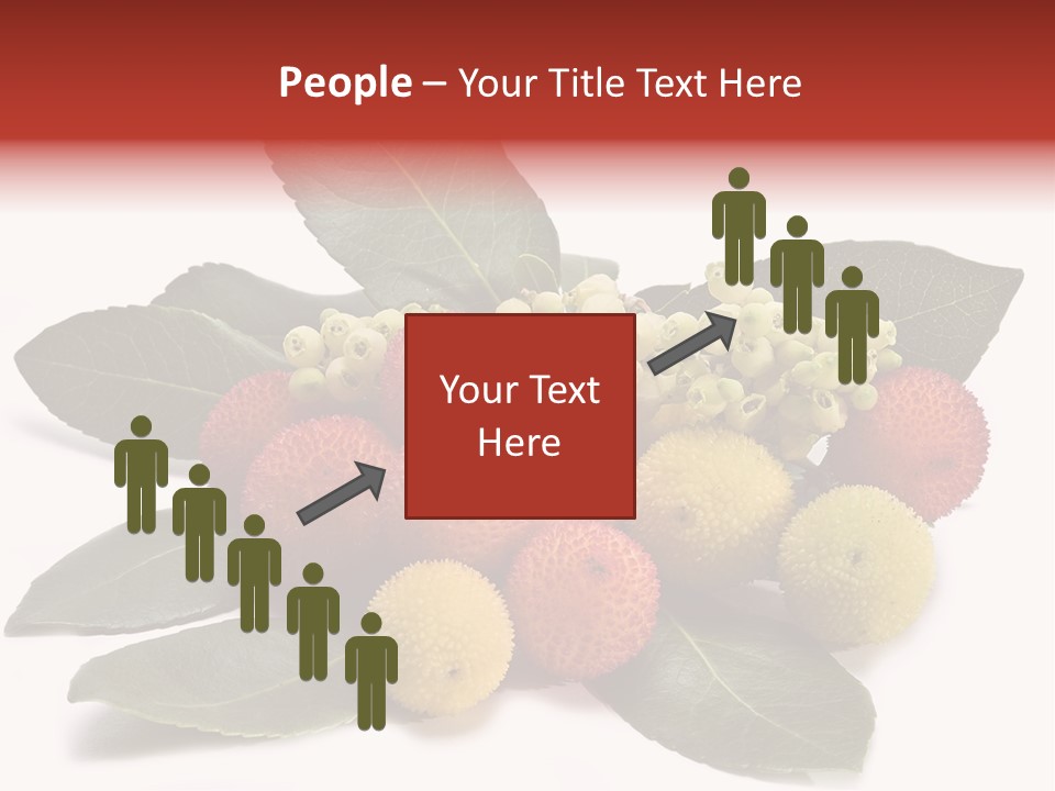 Forest Fruits Isolated Fresh PowerPoint Template