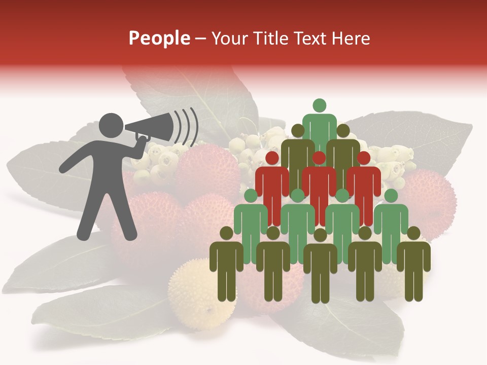 Forest Fruits Isolated Fresh PowerPoint Template