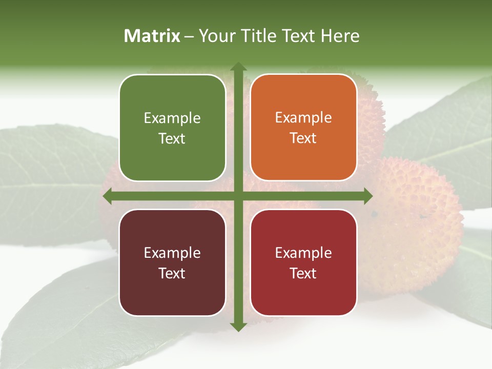 Isolated Collection Ripe PowerPoint Template