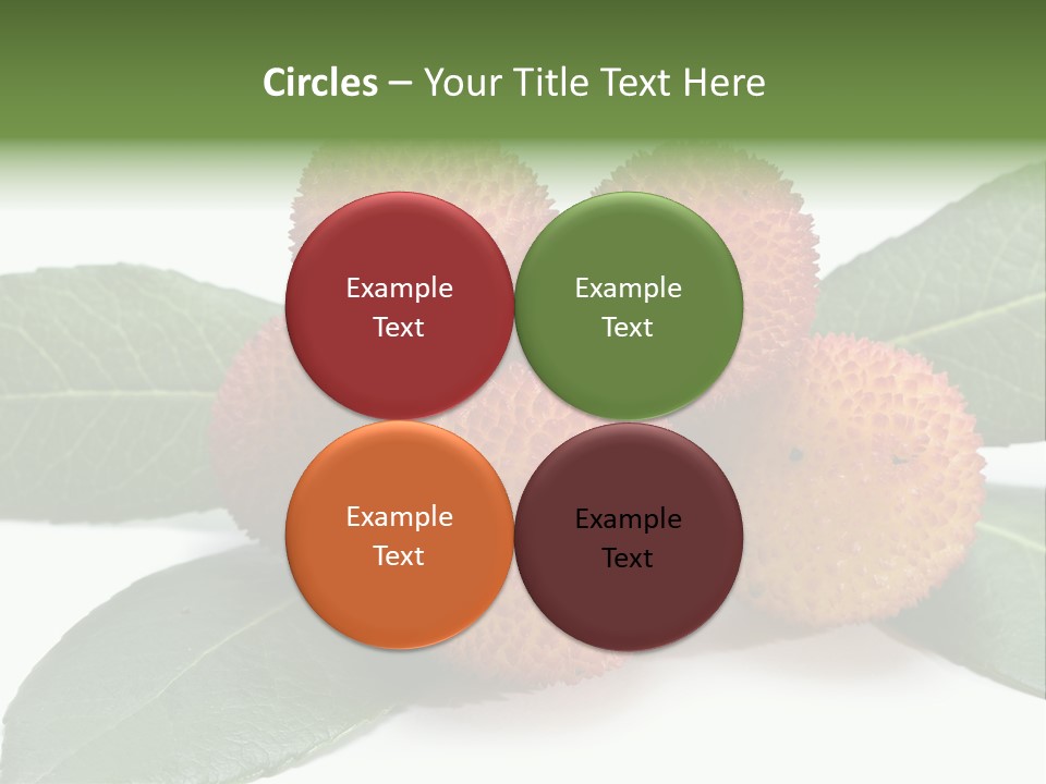 Isolated Collection Ripe PowerPoint Template