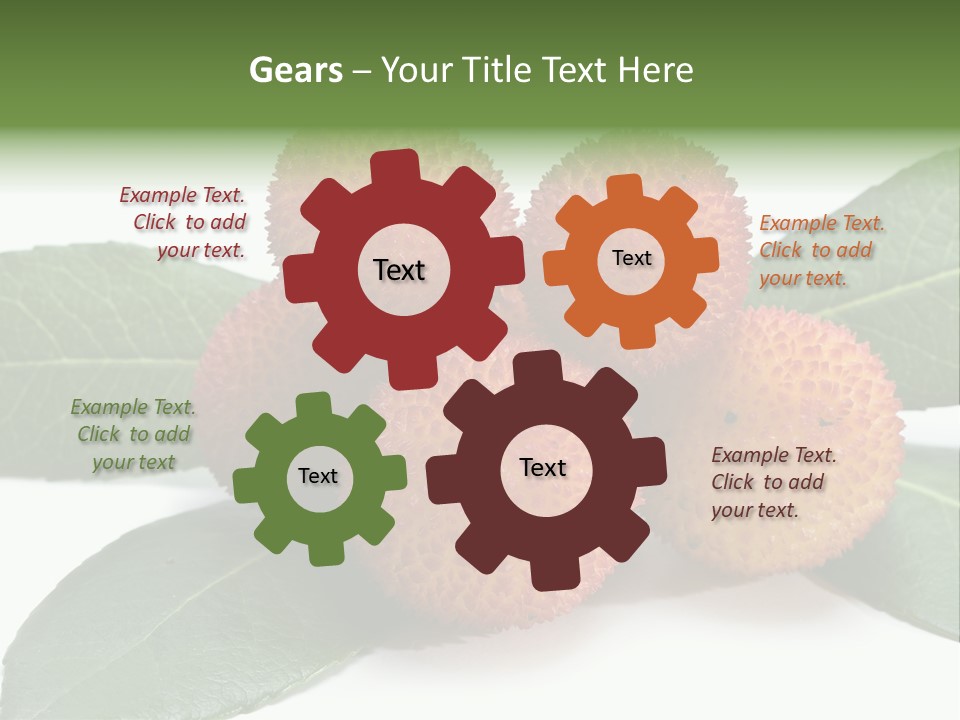 Isolated Collection Ripe PowerPoint Template