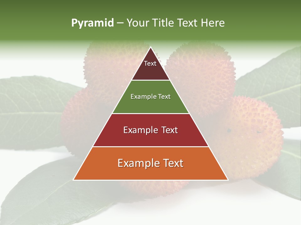 Isolated Collection Ripe PowerPoint Template