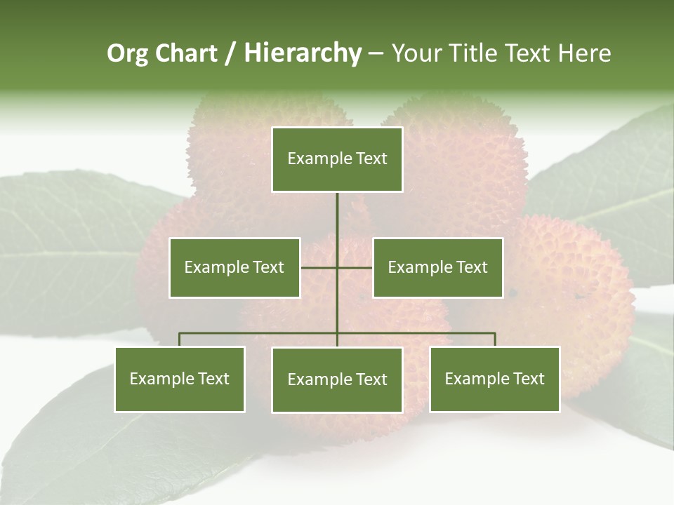 Isolated Collection Ripe PowerPoint Template