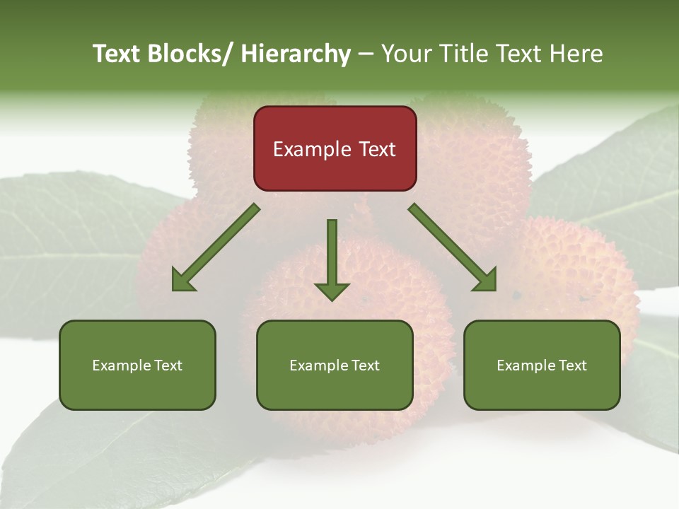 Isolated Collection Ripe PowerPoint Template