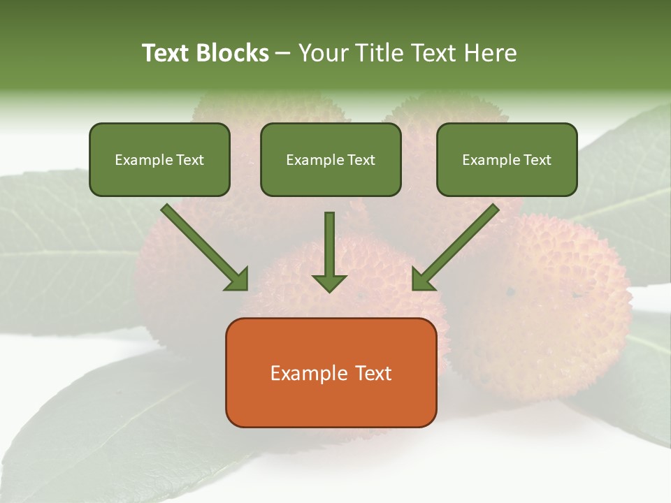 Isolated Collection Ripe PowerPoint Template
