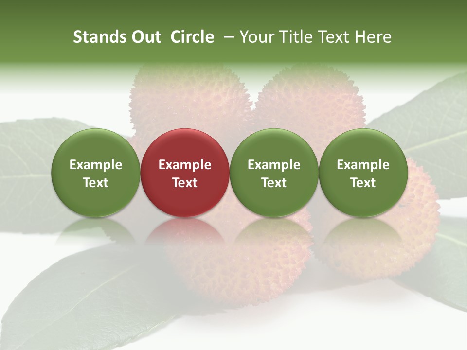 Isolated Collection Ripe PowerPoint Template