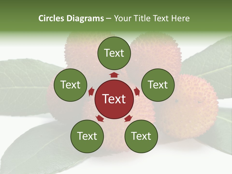 Isolated Collection Ripe PowerPoint Template