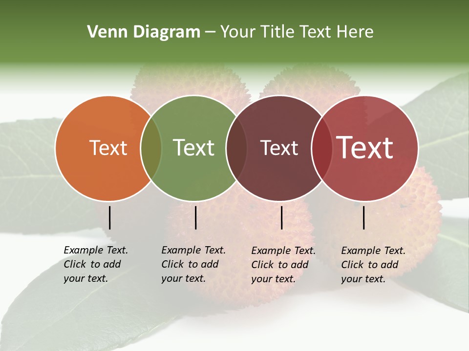 Isolated Collection Ripe PowerPoint Template