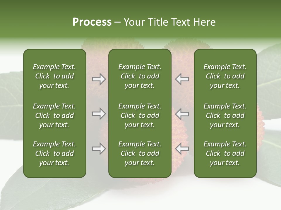 Isolated Collection Ripe PowerPoint Template