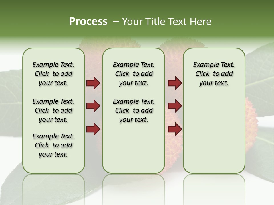 Isolated Collection Ripe PowerPoint Template