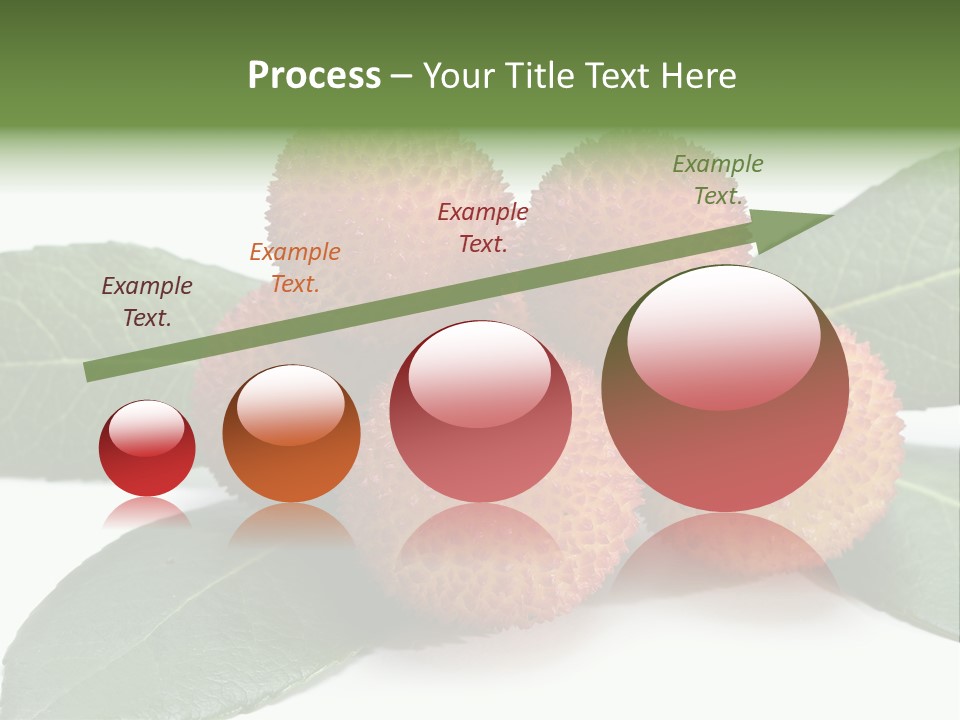 Isolated Collection Ripe PowerPoint Template