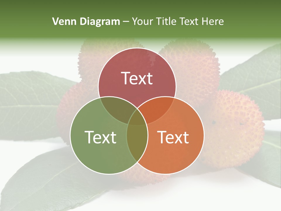 Isolated Collection Ripe PowerPoint Template