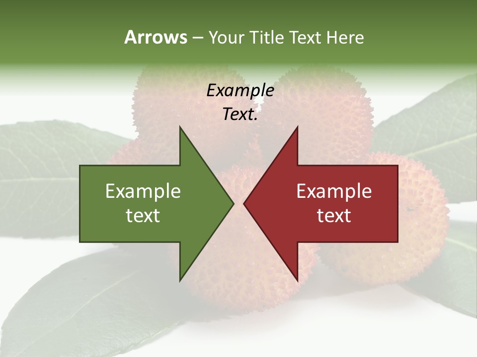 Isolated Collection Ripe PowerPoint Template