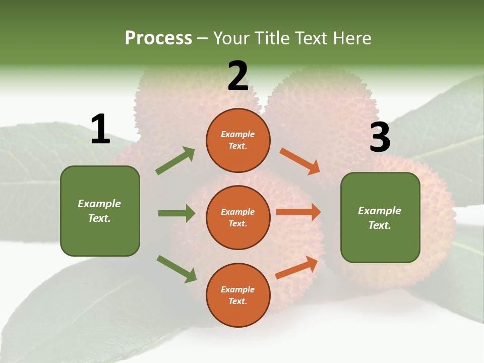 Isolated Collection Ripe PowerPoint Template