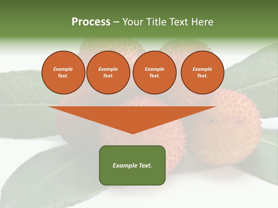 Isolated Collection Ripe PowerPoint Template