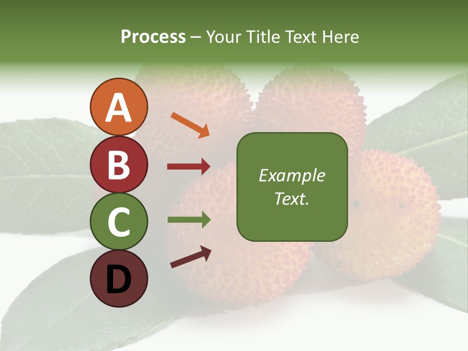 Isolated Collection Ripe PowerPoint Template