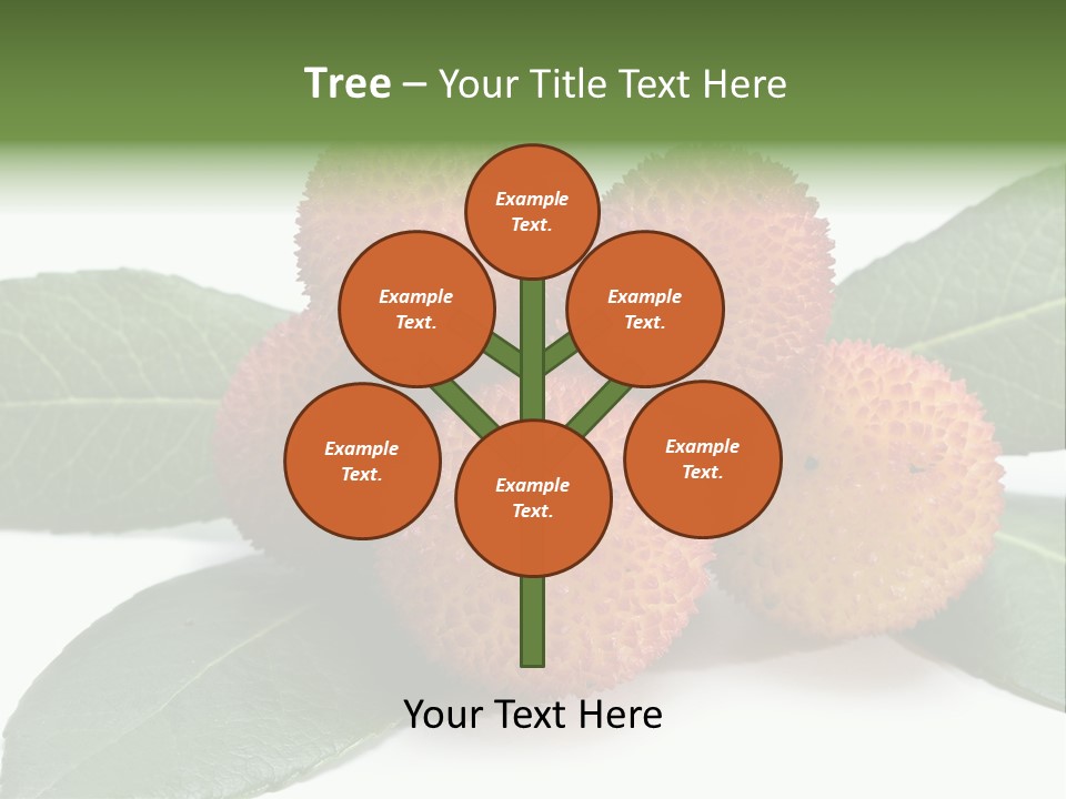 Isolated Collection Ripe PowerPoint Template