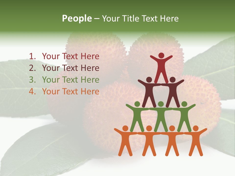 Isolated Collection Ripe PowerPoint Template