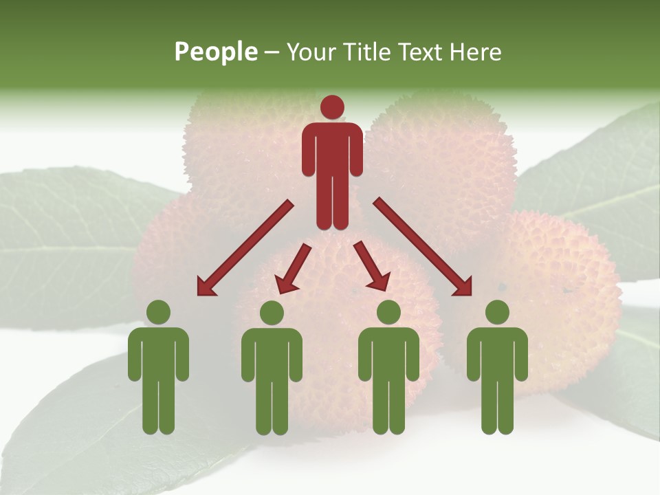 Isolated Collection Ripe PowerPoint Template