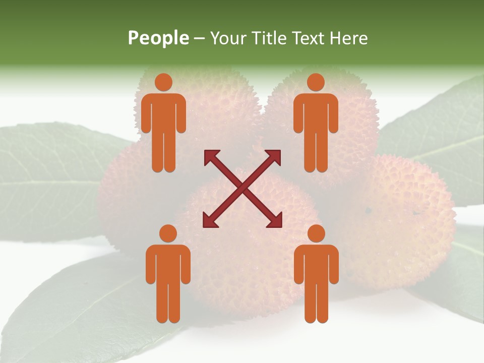 Isolated Collection Ripe PowerPoint Template