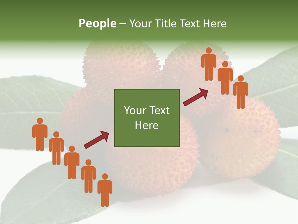 Isolated Collection Ripe PowerPoint Template