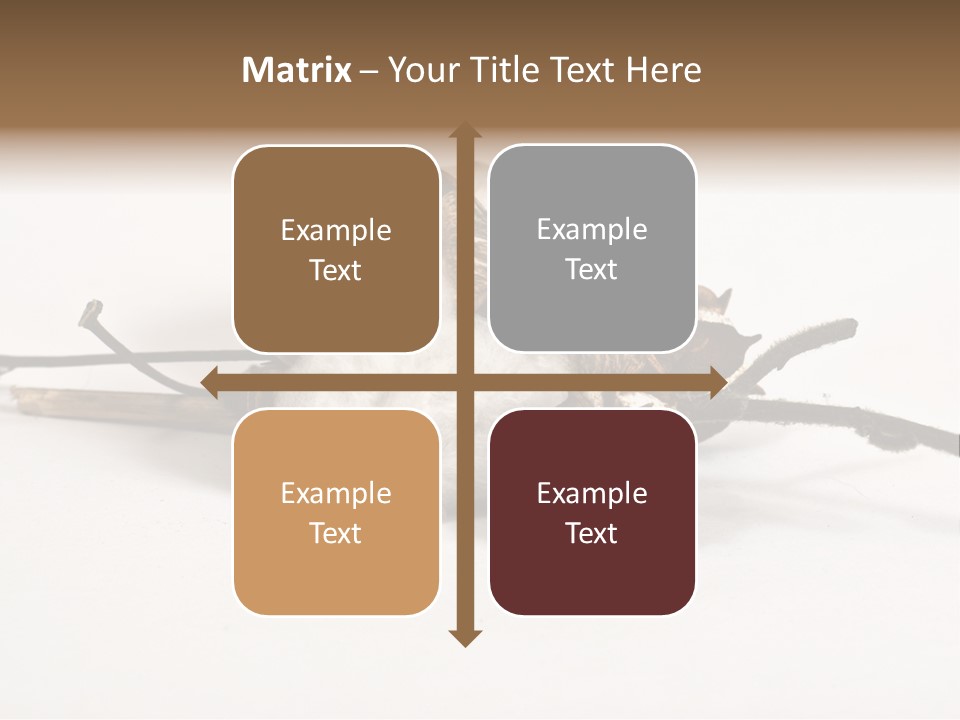 Agriculture Uzbekistan PowerPoint Template