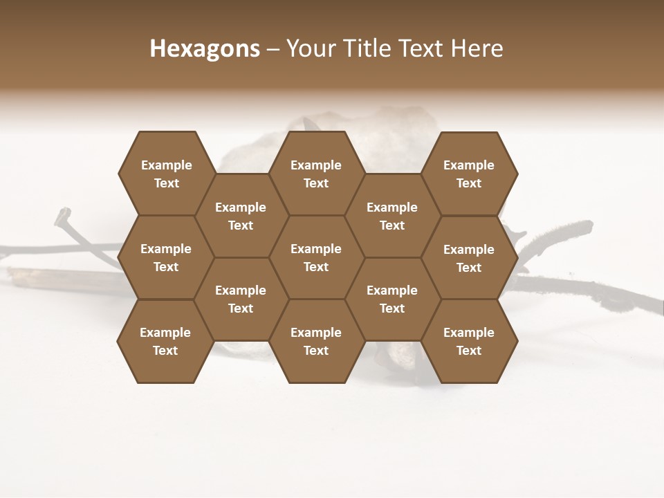 Agriculture Uzbekistan PowerPoint Template