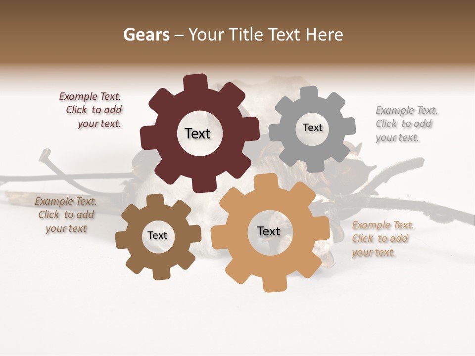 Agriculture Uzbekistan PowerPoint Template