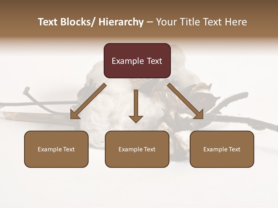 Agriculture Uzbekistan PowerPoint Template