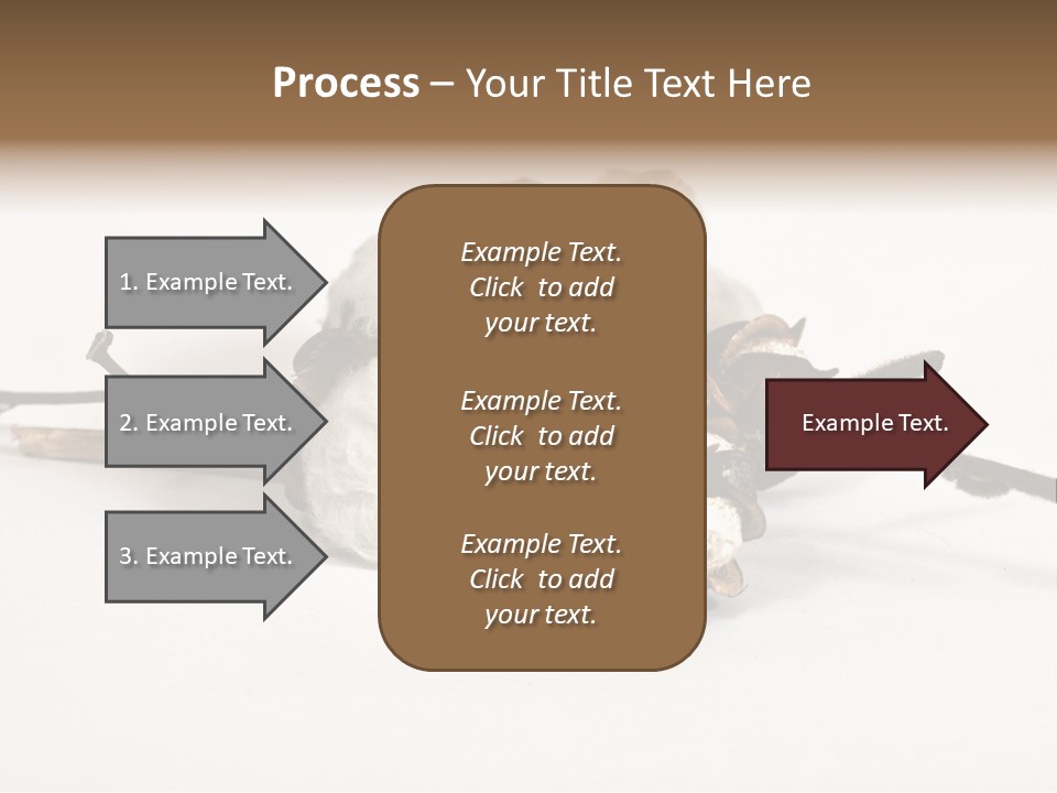 Agriculture Uzbekistan PowerPoint Template