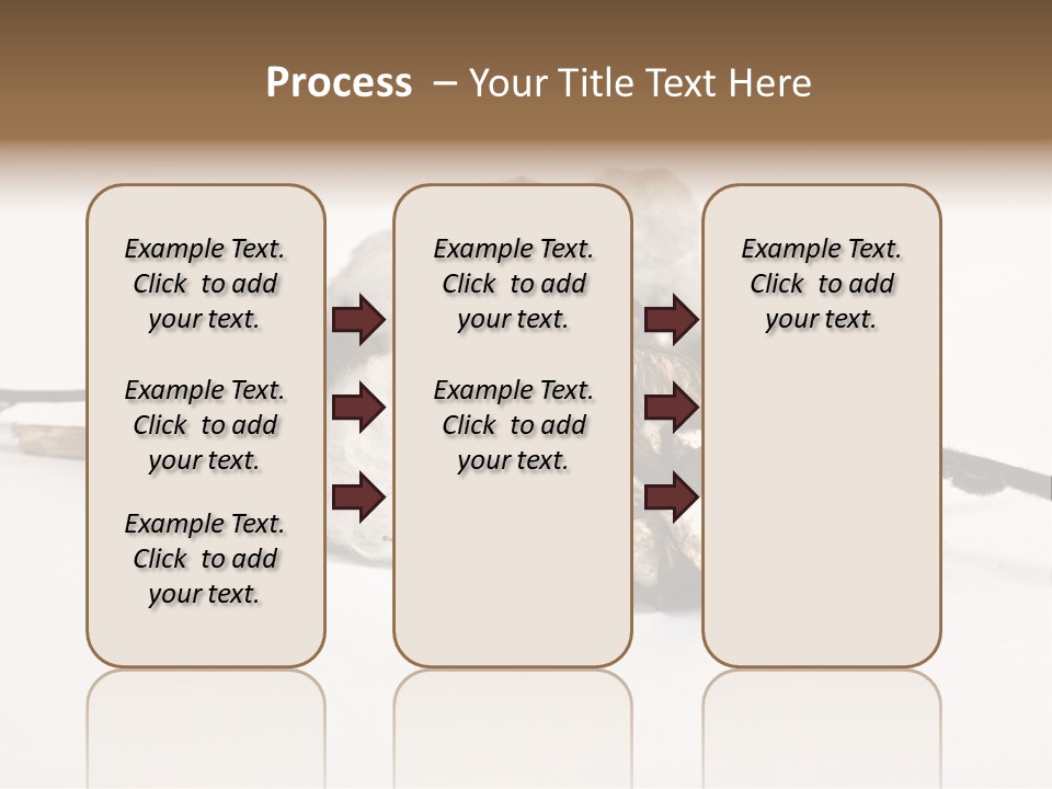 Agriculture Uzbekistan PowerPoint Template
