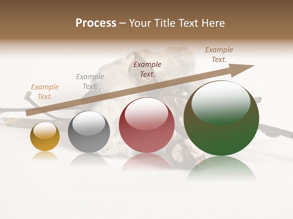 Agriculture Uzbekistan PowerPoint Template