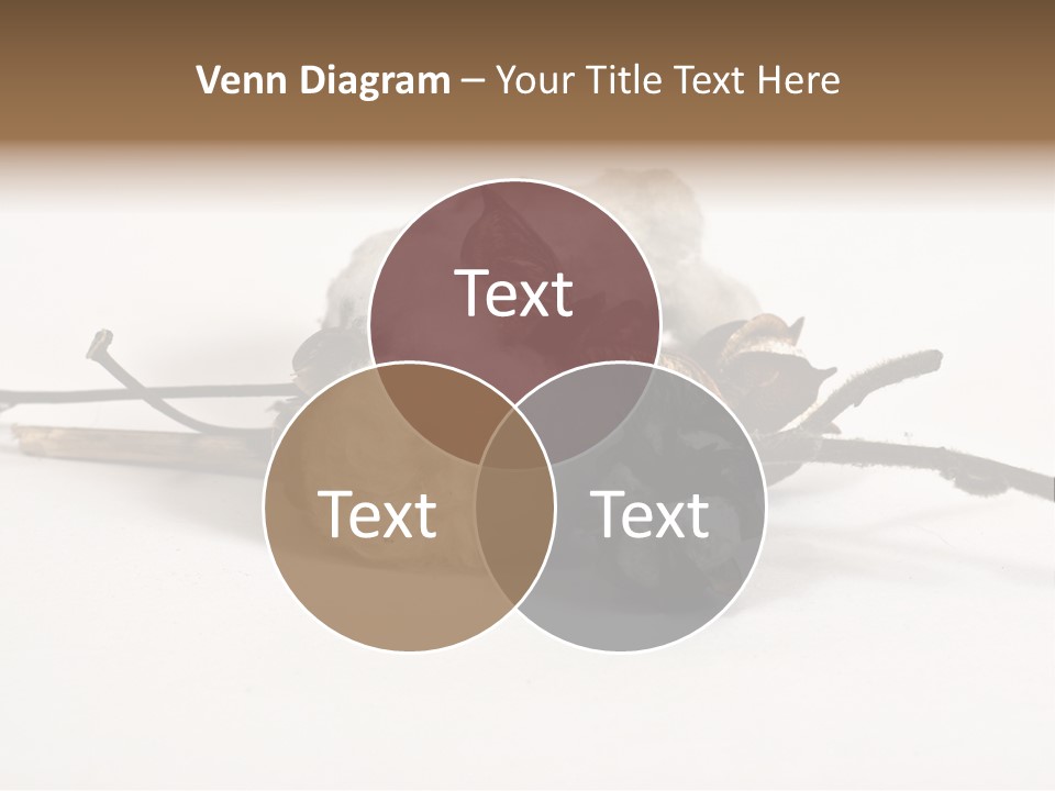 Agriculture Uzbekistan PowerPoint Template