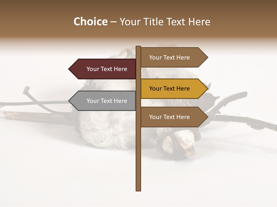Agriculture Uzbekistan PowerPoint Template