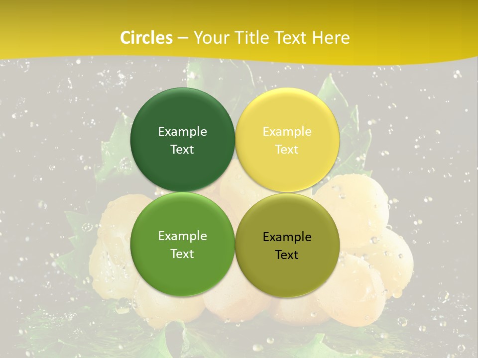 Splash Falling Bunch PowerPoint Template