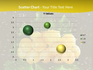 Splash Falling Bunch PowerPoint Template