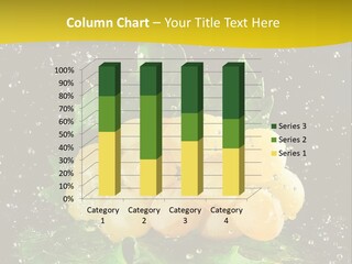 Splash Falling Bunch PowerPoint Template