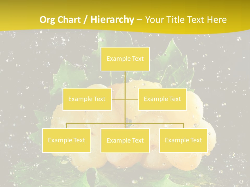 Splash Falling Bunch PowerPoint Template