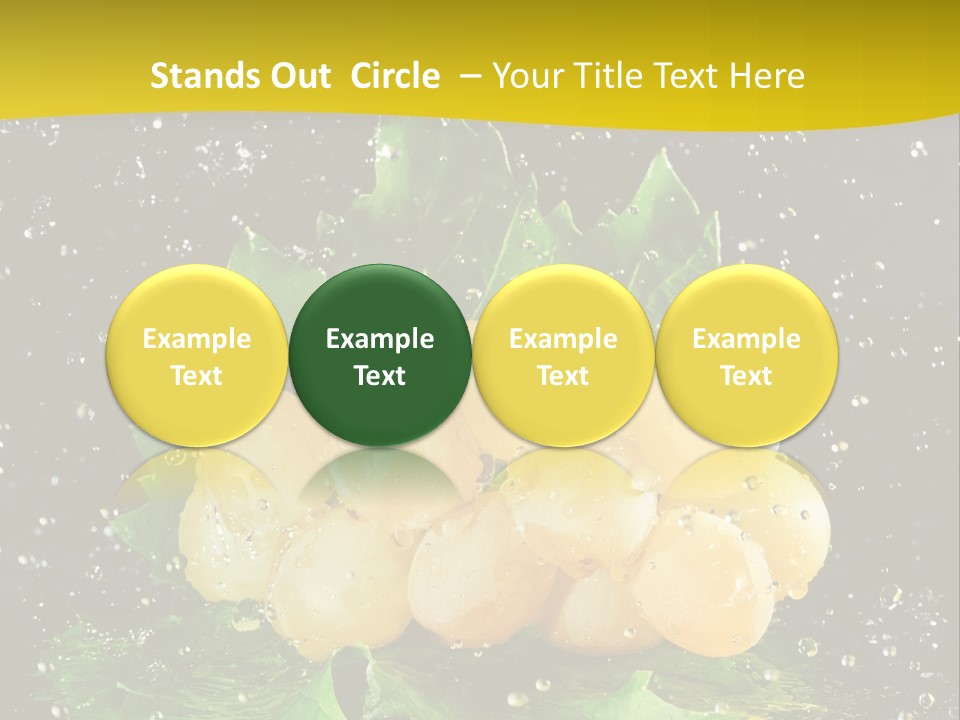 Splash Falling Bunch PowerPoint Template