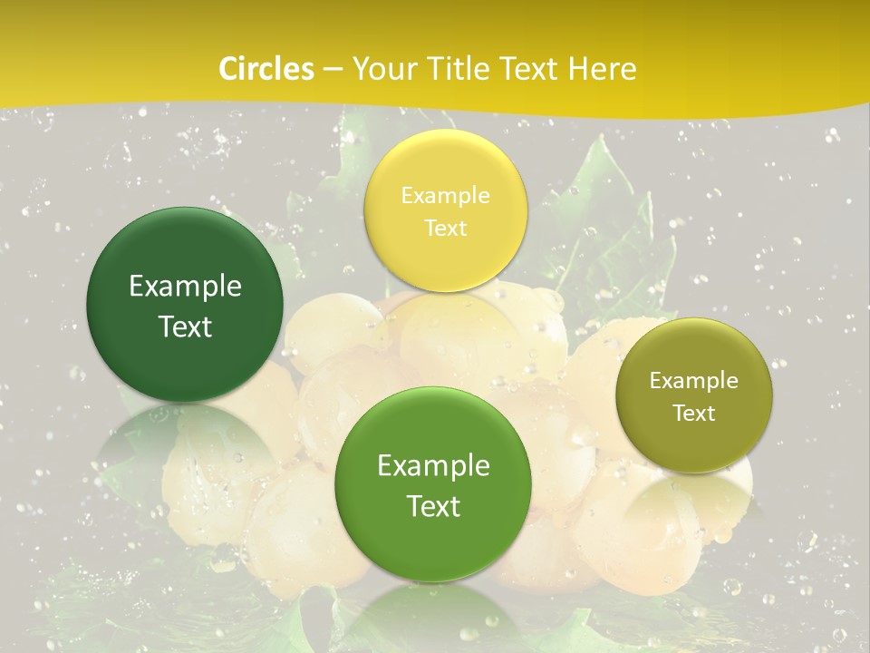 Splash Falling Bunch PowerPoint Template