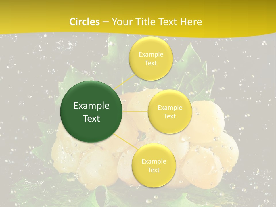 Splash Falling Bunch PowerPoint Template