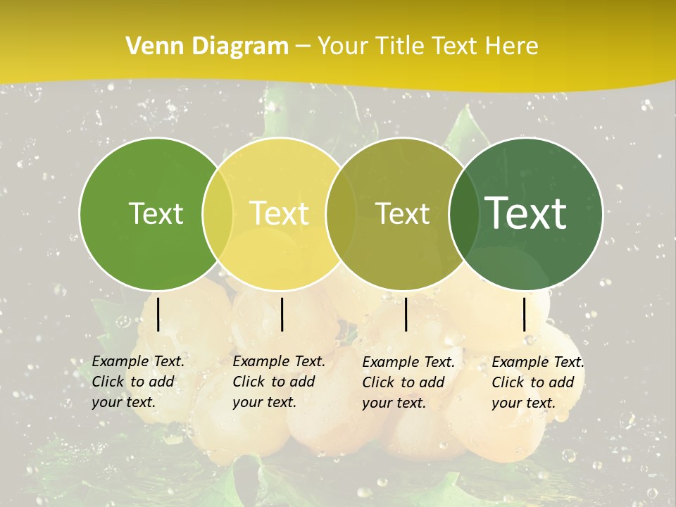 Splash Falling Bunch PowerPoint Template