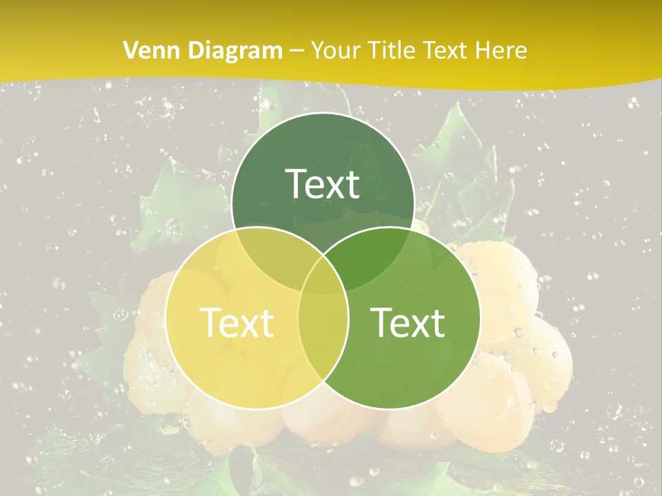 Splash Falling Bunch PowerPoint Template