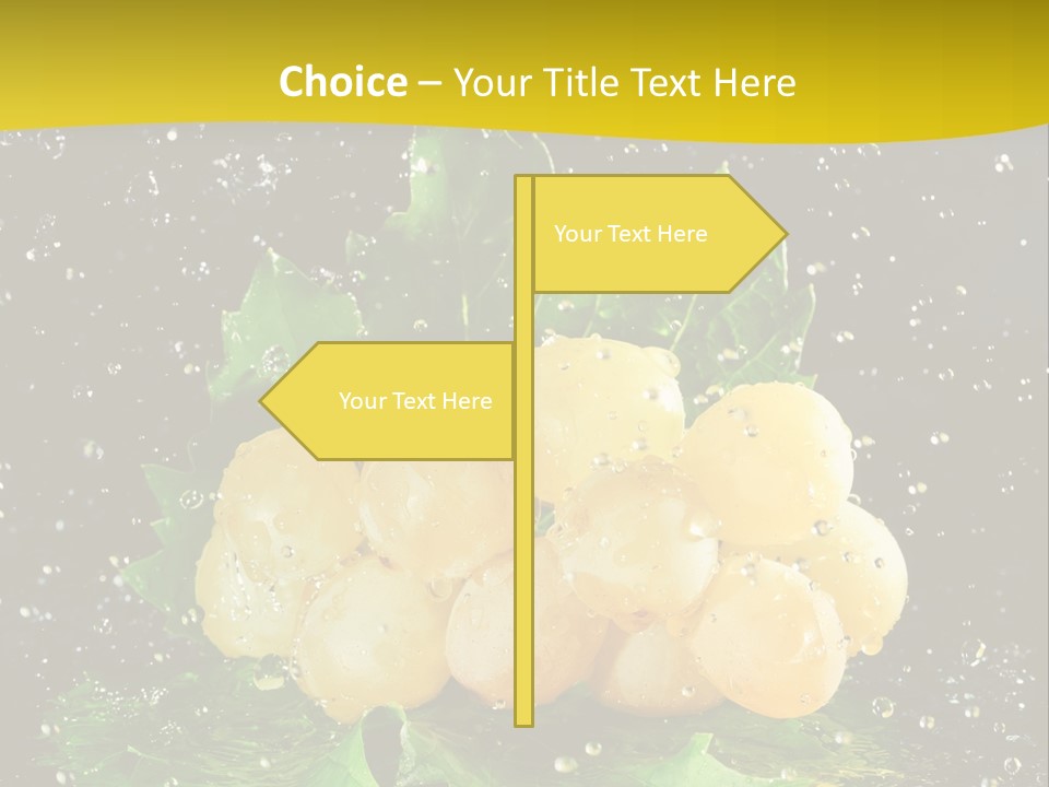 Splash Falling Bunch PowerPoint Template