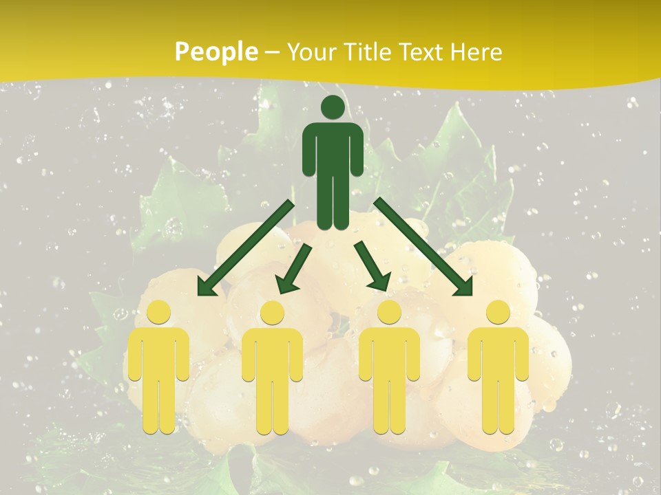 Splash Falling Bunch PowerPoint Template