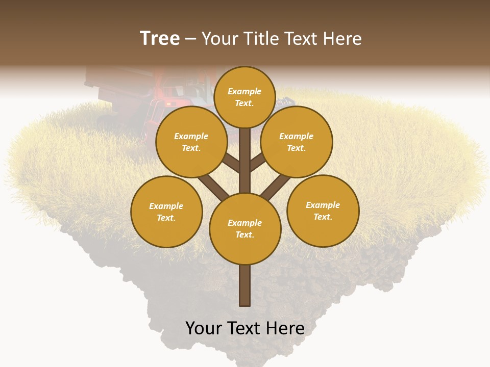 Piece Of Land PowerPoint Template