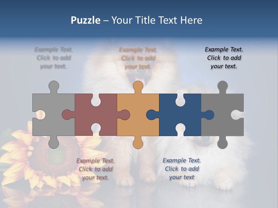 Pomeranian PowerPoint Template