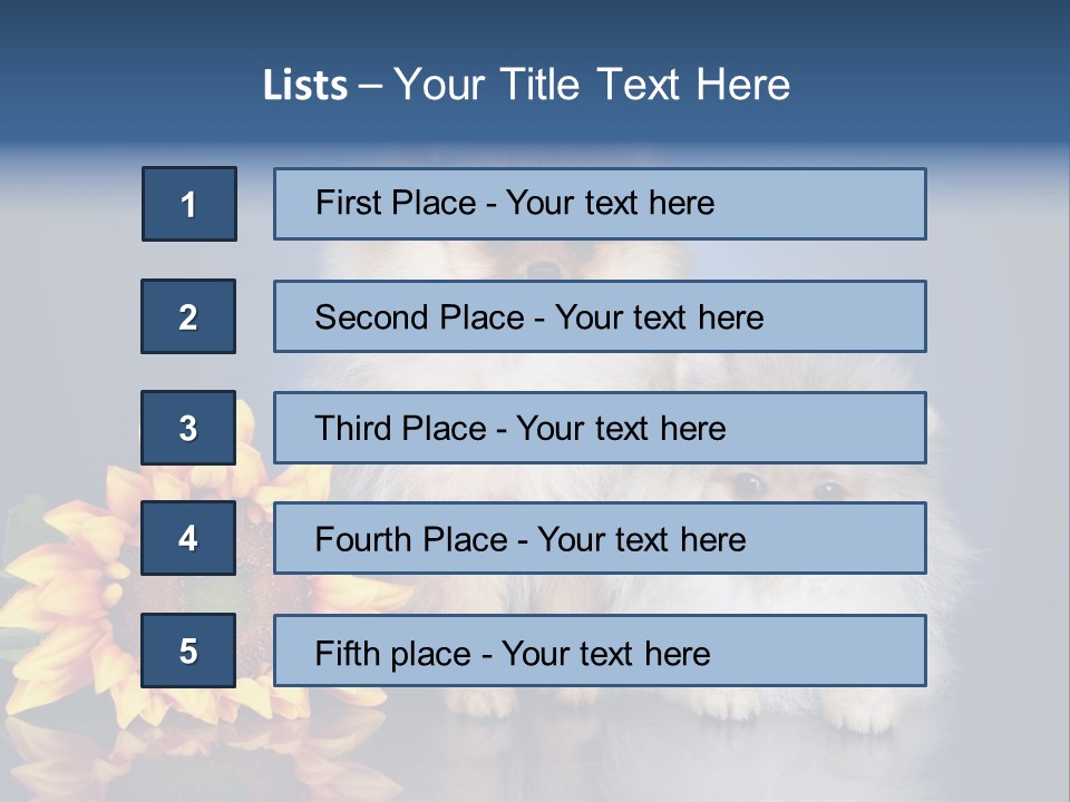 Pomeranian PowerPoint Template